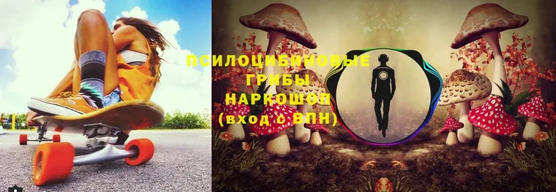 Псилоцибиновые грибы Psilocybe  Мензелинск 